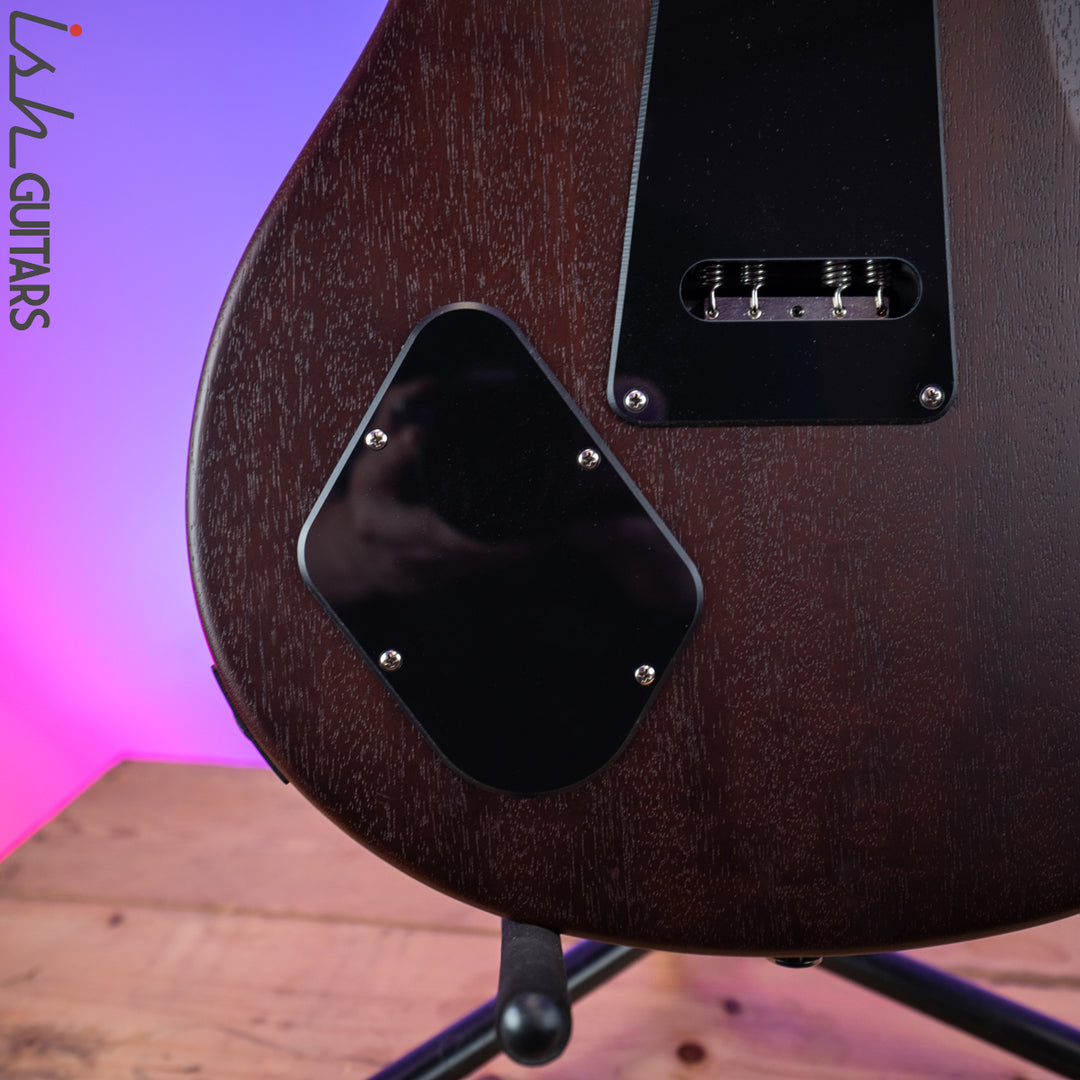 2020 PRS Dustie Waring DW CE 24 Floyd Burnt Amber Smokeburst