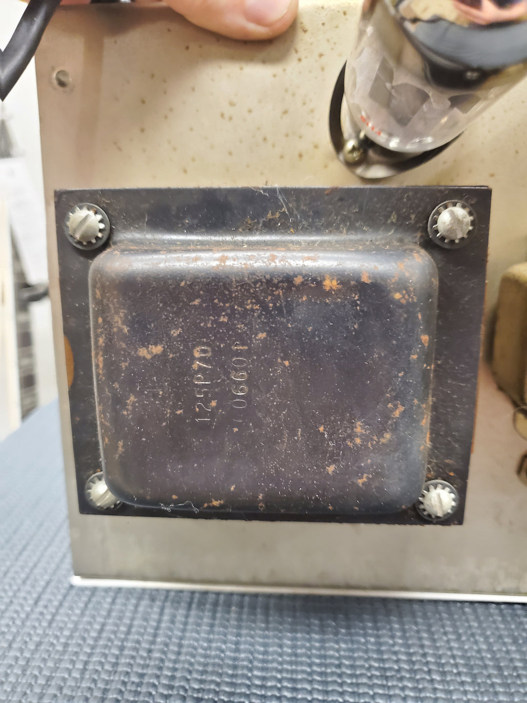 1966 Fender Bassman Blackface Head
