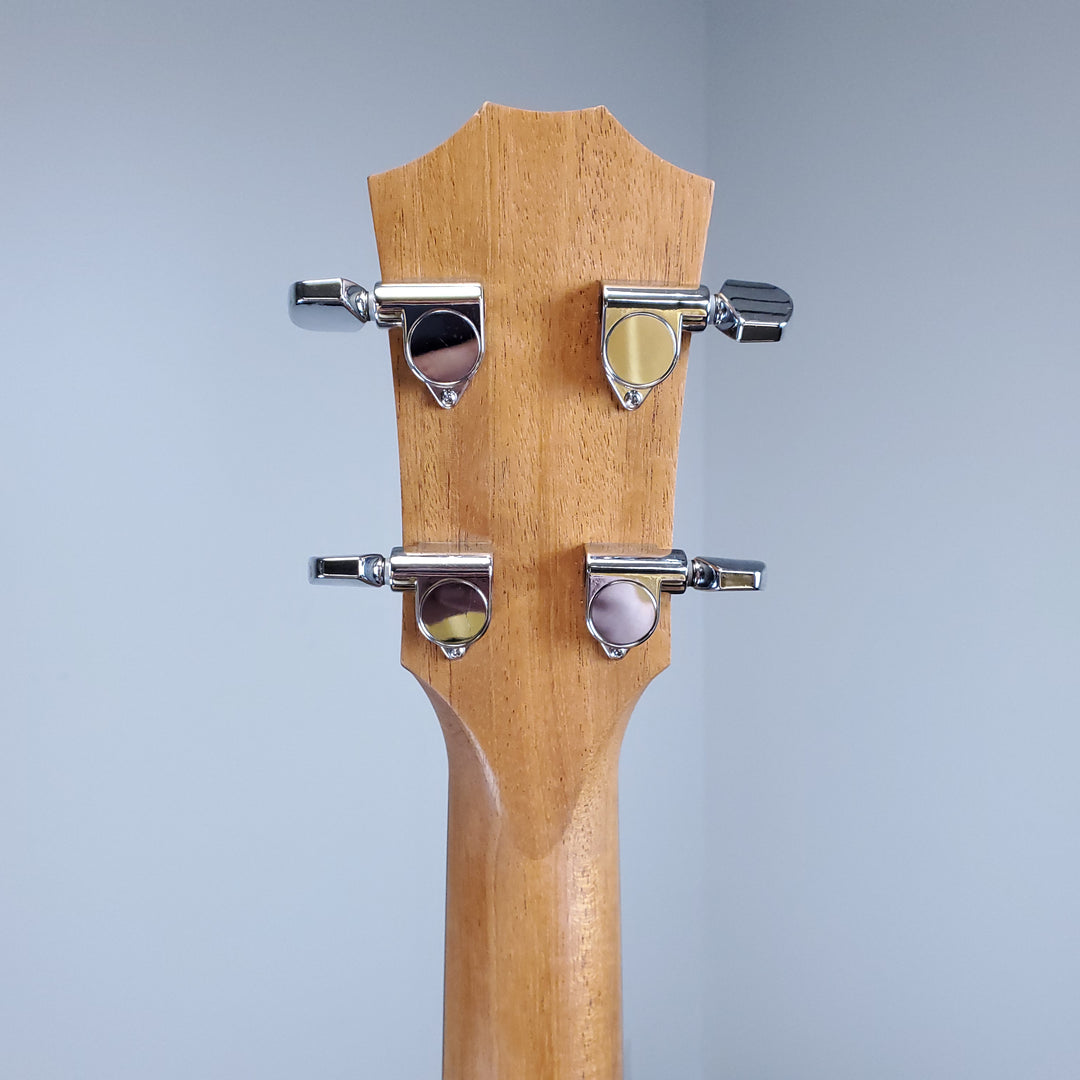 2019 Taylor GS Mini-e Bass