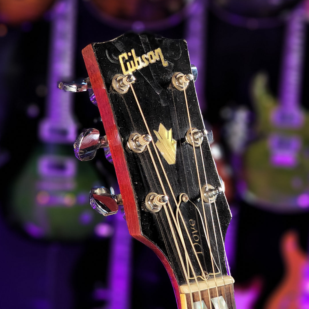 1970-1972 Gibson Dove Natural