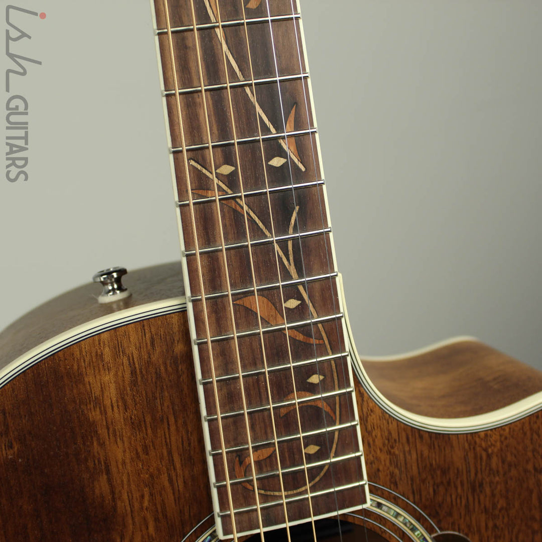 Ibanez AE245JROPN Open Pore Natural Jr. Acoustic