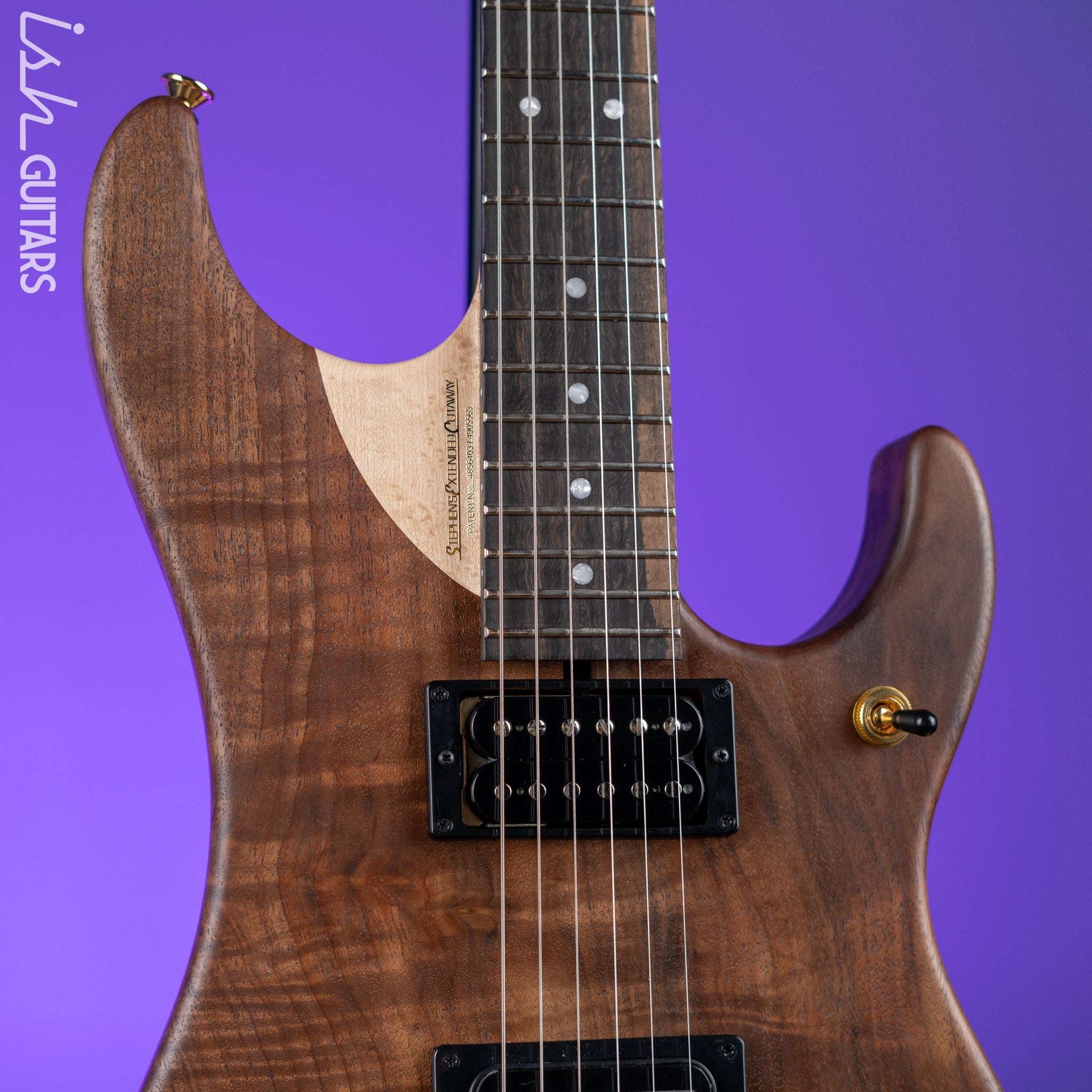 Washburn Limited Edition Nuno Bettencourt Signature Series N4