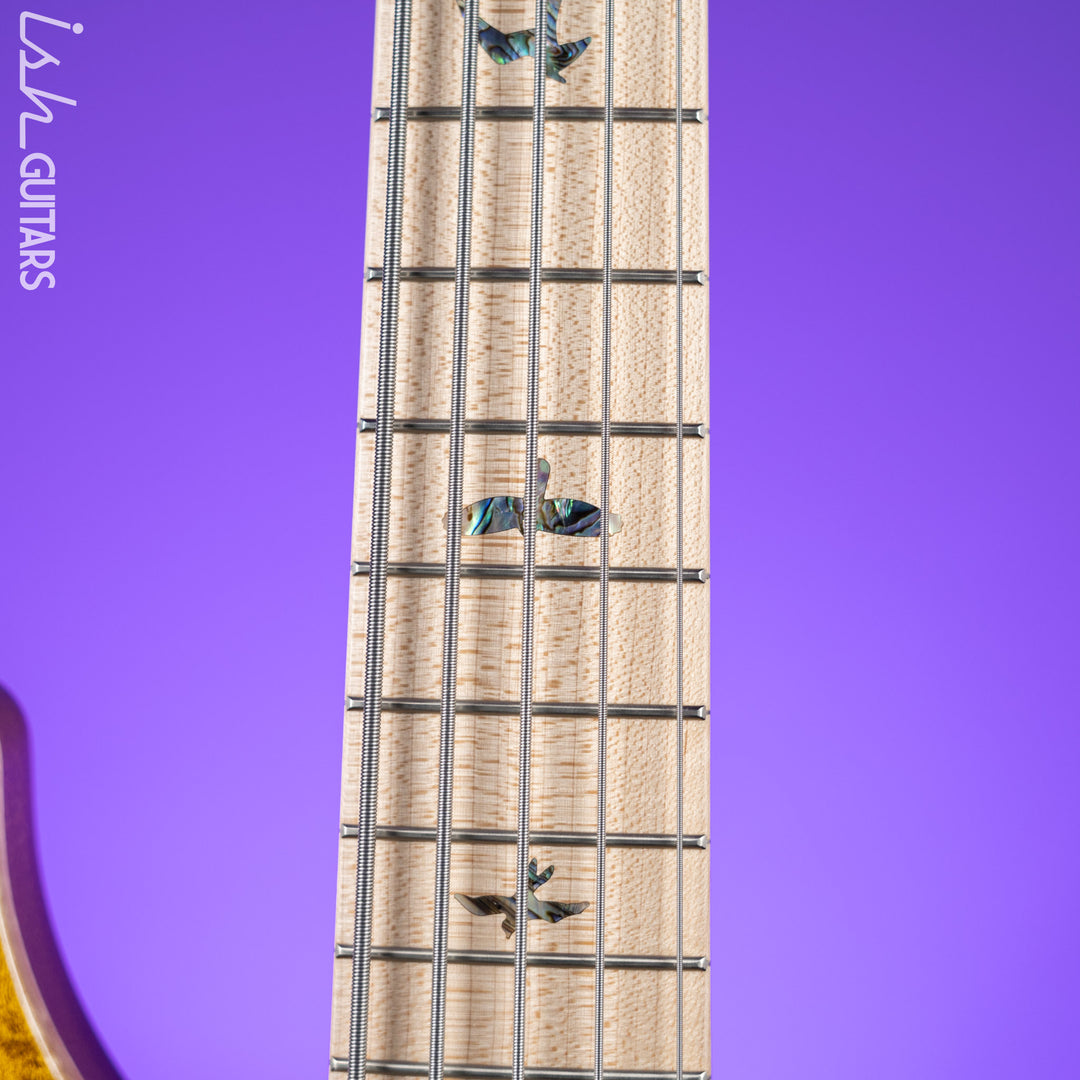 PRS Grainger 5-String Bass 10-Top Tiger Eye
