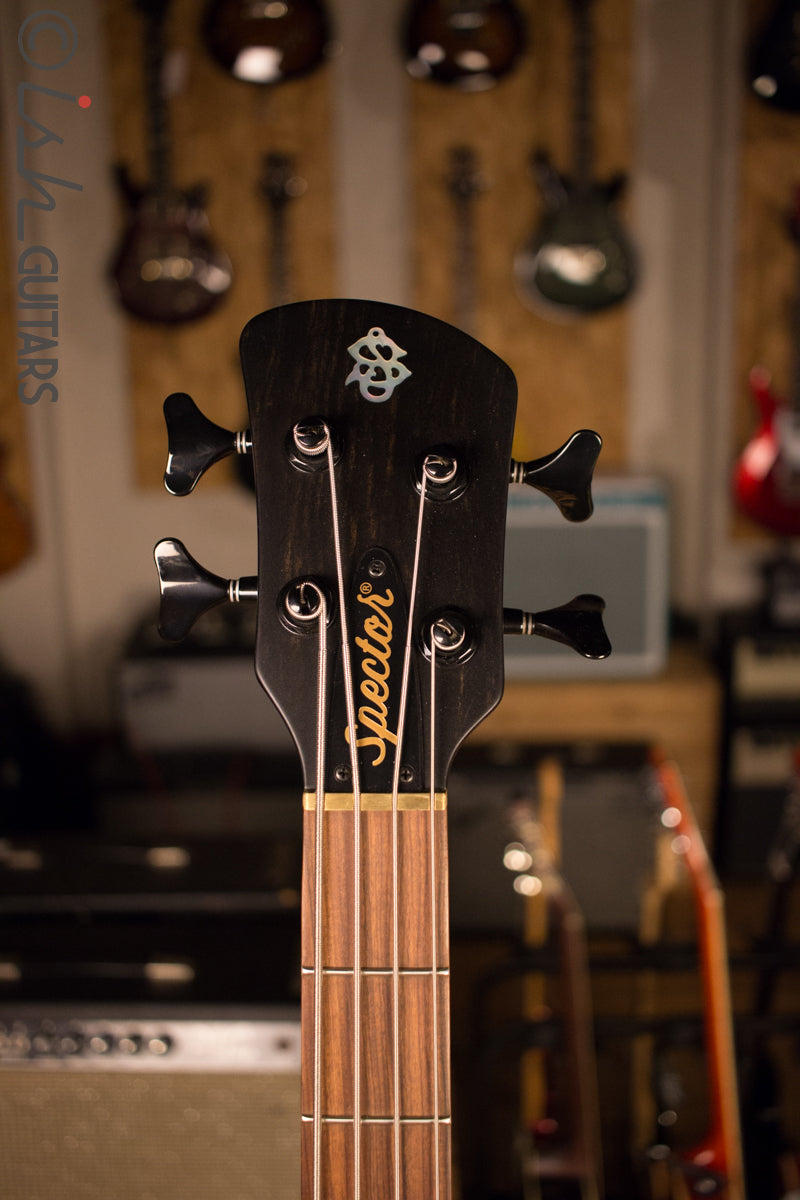 USA Spector Forte 4 Walnut Matte Aguilar Pickups