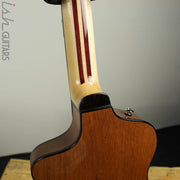 Rick Turner 40th Anniversary Model 1 Lindsey Buckingham Guitar