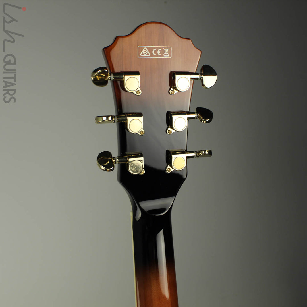 2018 Ibanez Artcore Expressionist AG95QA Dark Brown Sunburst
