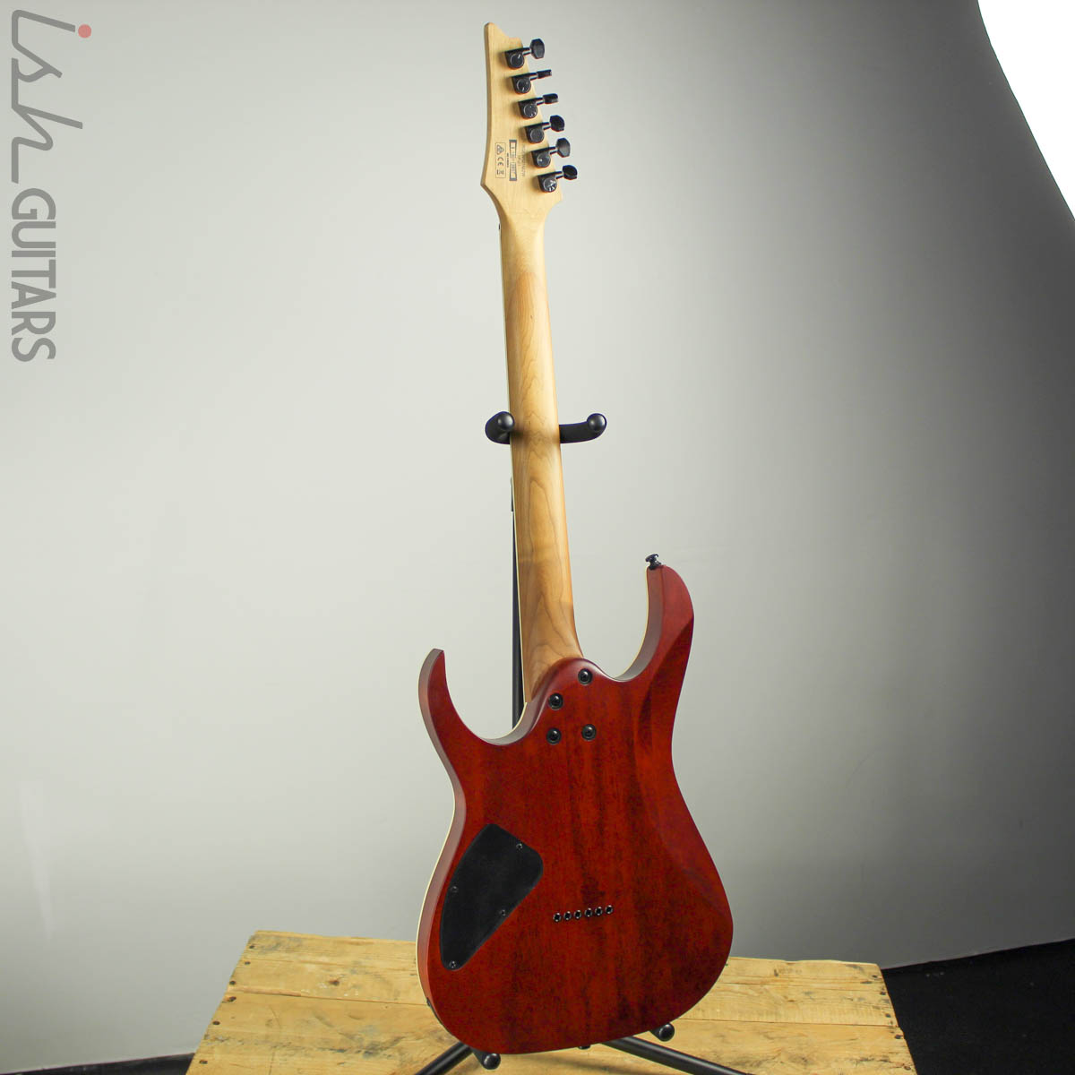 Ibanez Exotic RGEW521M Zebrawood Natural Flat B-STOCK – Ish Guitars