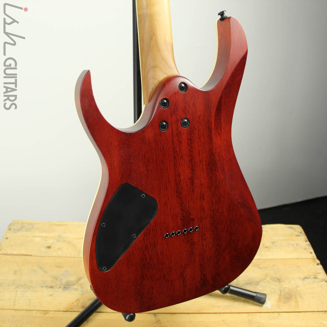 Ibanez Exotic RGEW521M Zebrawood Natural Flat B-STOCK