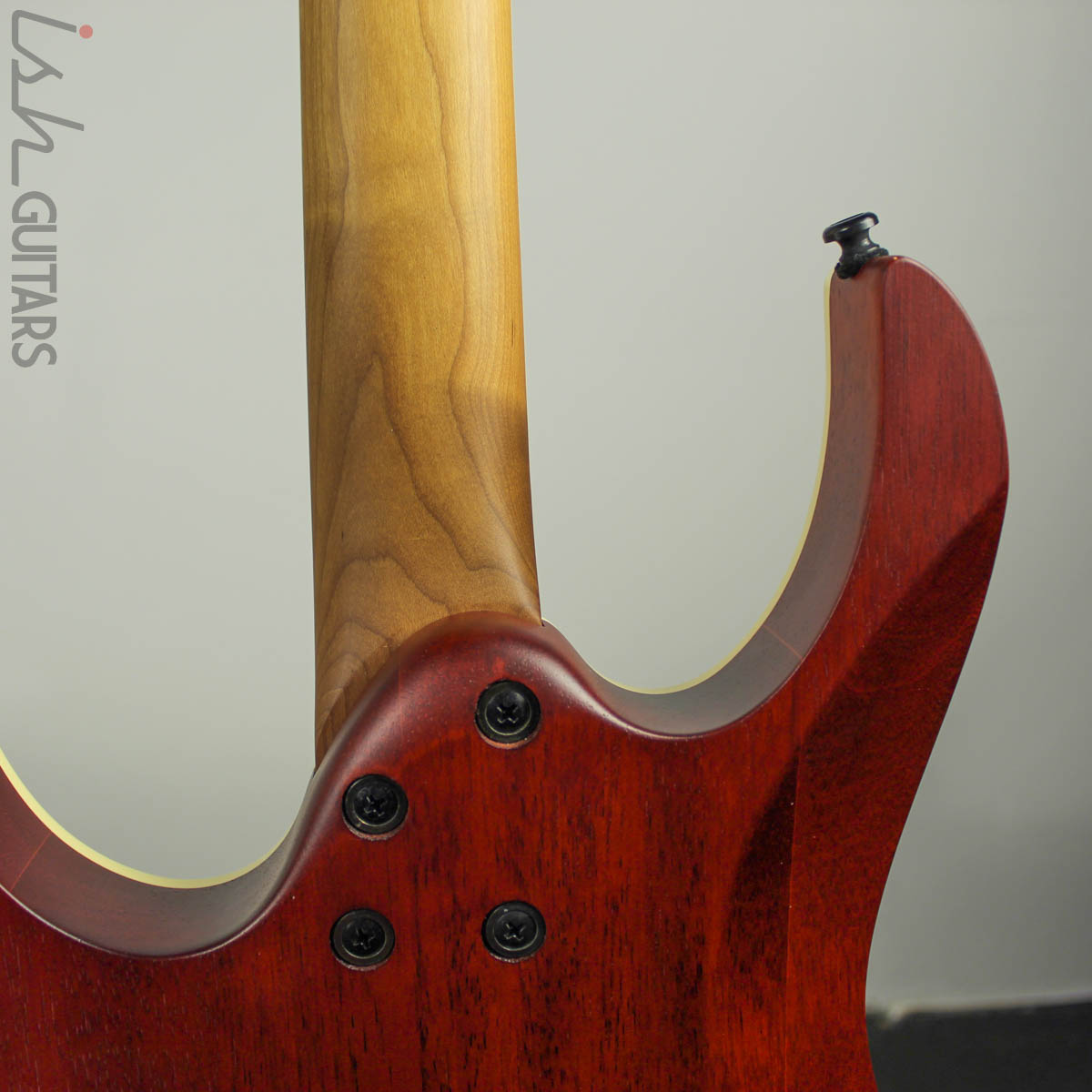 Ibanez Exotic RGEW521M Zebrawood Natural Flat B-STOCK – Ish Guitars