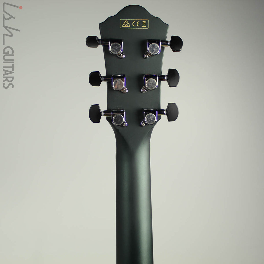 Ibanez AEWC10 Night Metallic Black