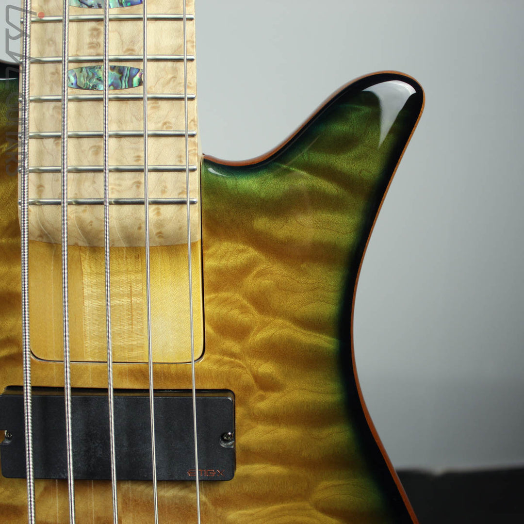 Spector NS-5H2 Wide 5 String Electric Bass USA Custom Color