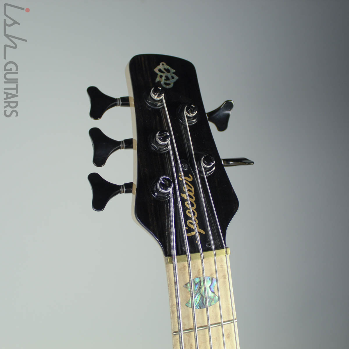 Spector NS-5H2 Wide 5 String Electric Bass USA Custom Color – Ish