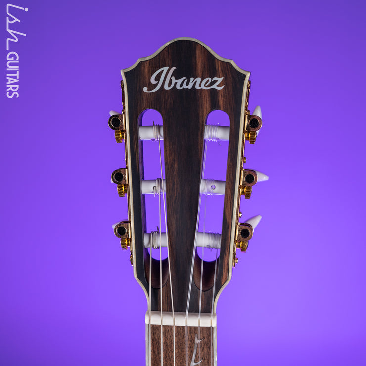 Ibanez TOD10N Tim Henson Signature Nylon Acoustic-Electric Guitar