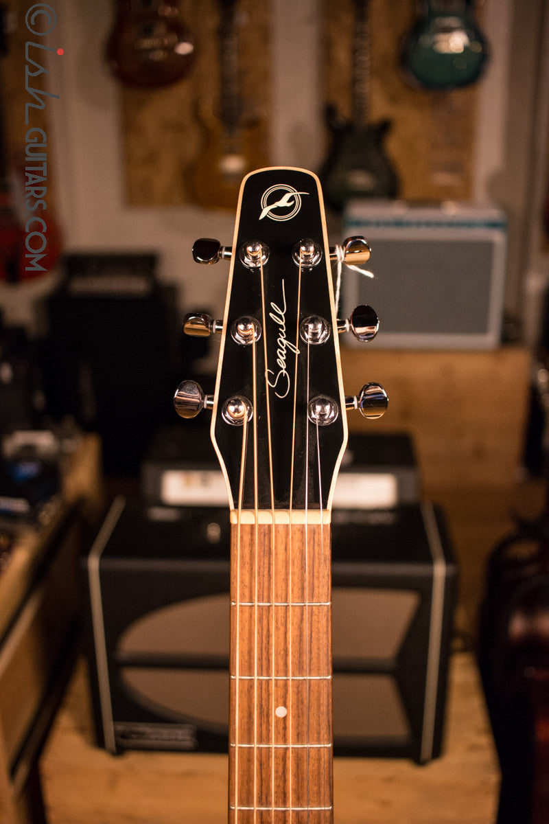 Seagull Entourage CW Black GT QI Acoustic Electric Guitar