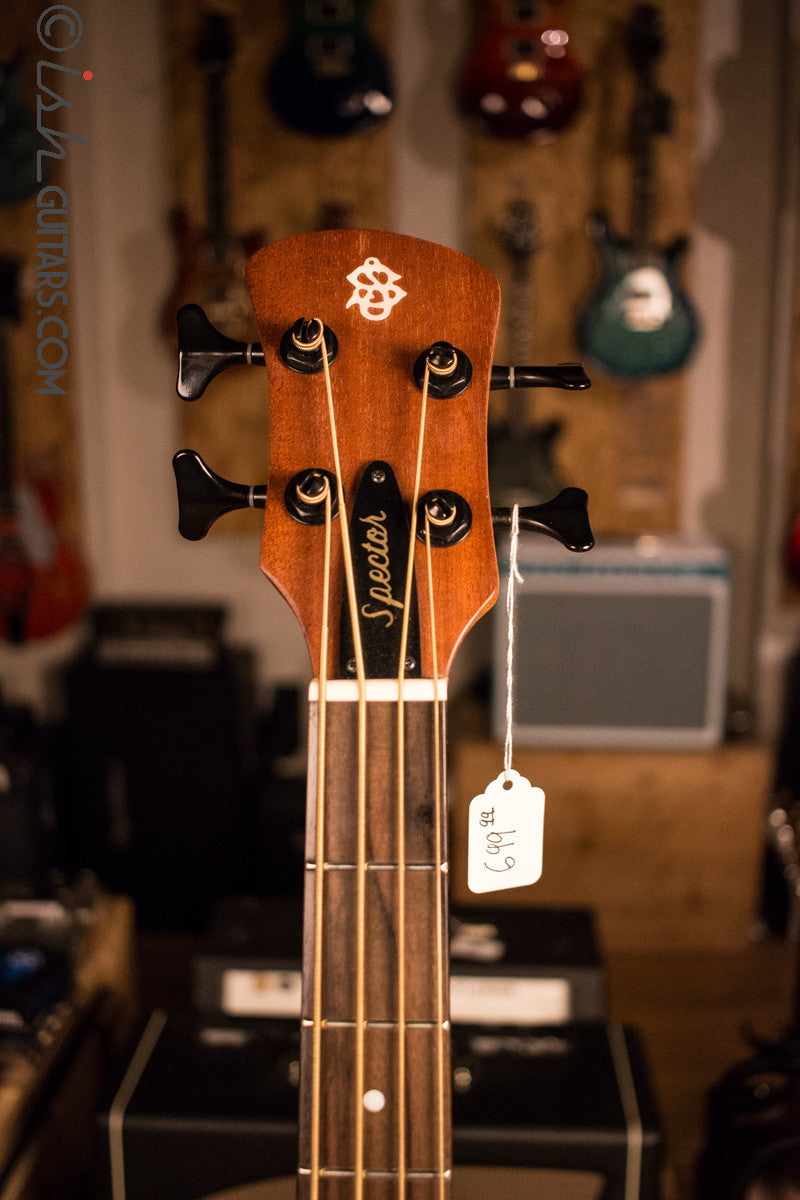 Spector Timbre Acoustic Electric Bass Guitar TB.4