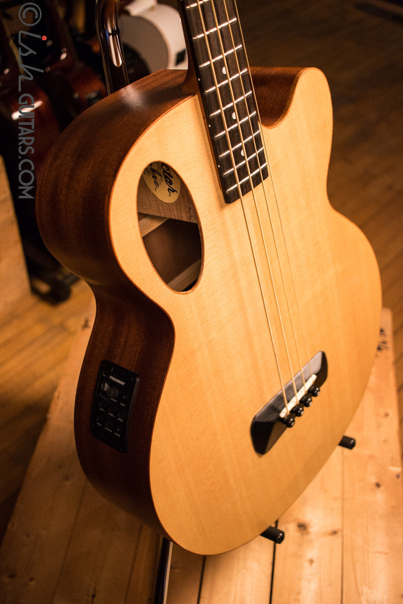 Spector Timbre Acoustic Electric Bass Guitar TB.4