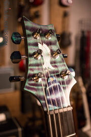 PRS Private Stock Custom 24 Nothern Lights