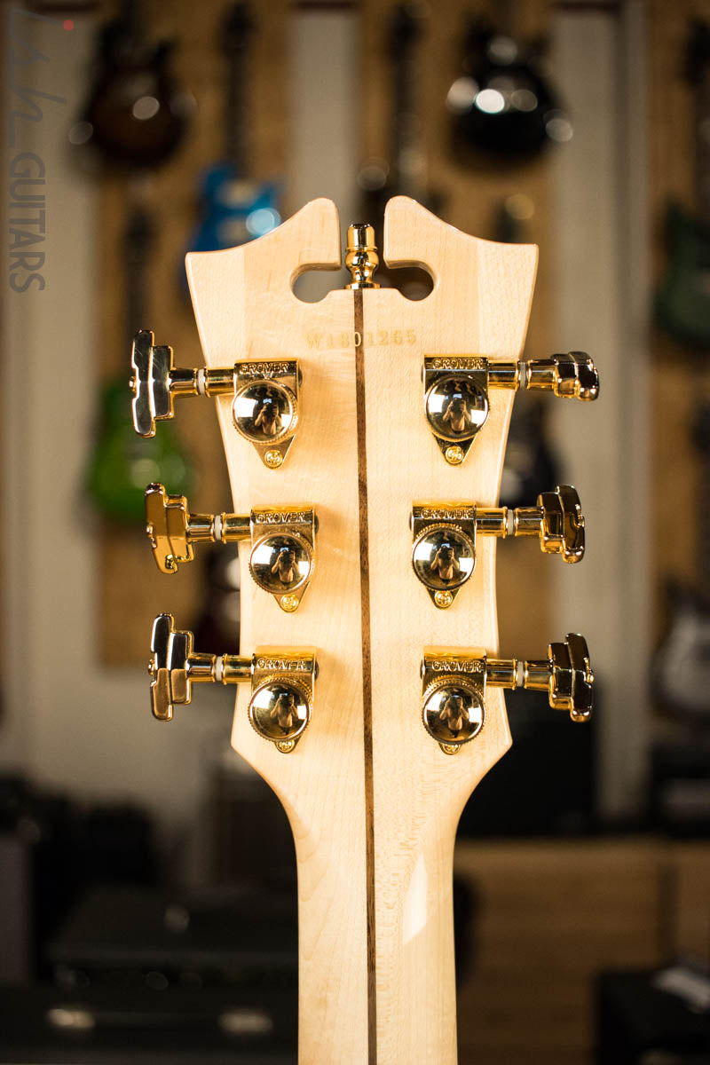 D’Angelico Deluxe Bedford Chameleon Finish