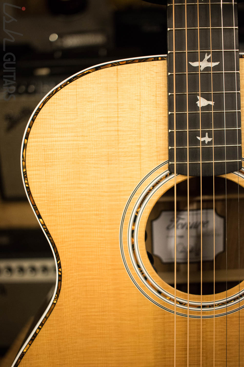 Paul Reed Smith PRS 2018 Tonare SE T40E Acoustic