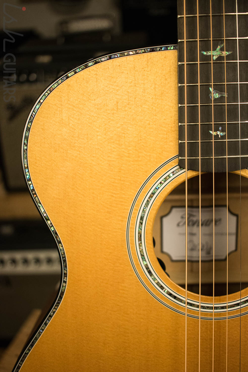 Paul Reed Smith PRS 2018 Tonare SE T50E Acoustic