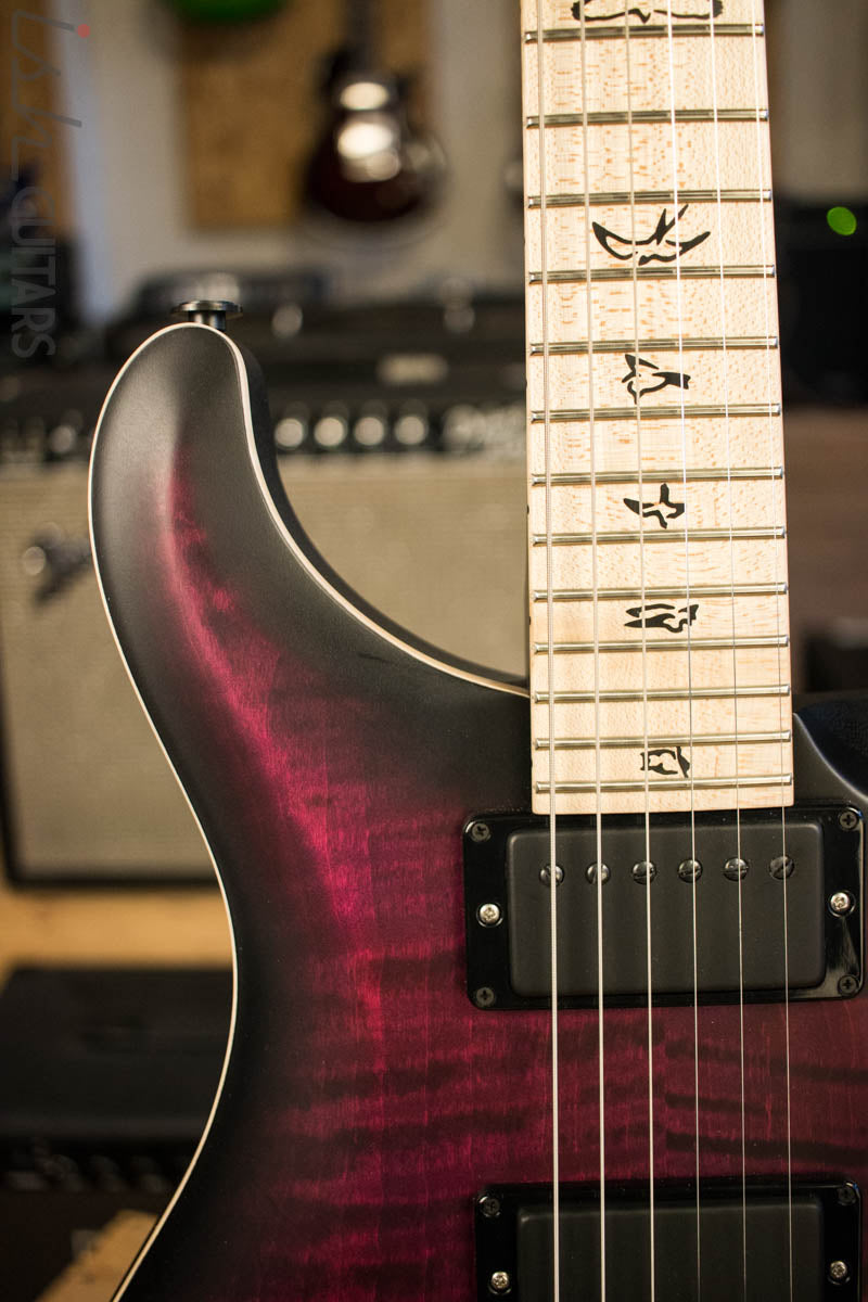 Paul Reed Smith Dustie Waring CE24 Floyd Limited Waring Burst