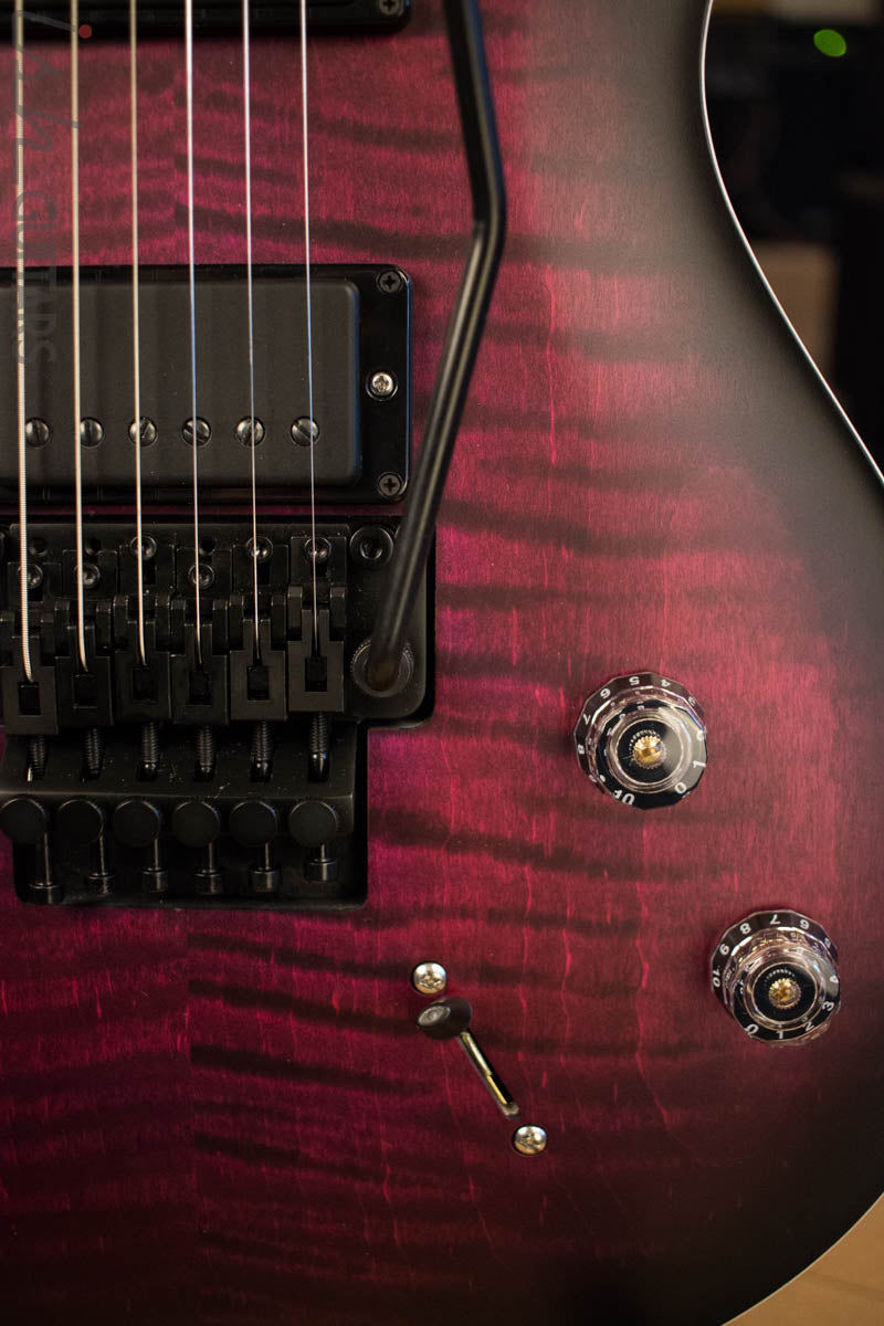 Paul Reed Smith Dustie Waring CE24 Floyd Limited Waring Burst