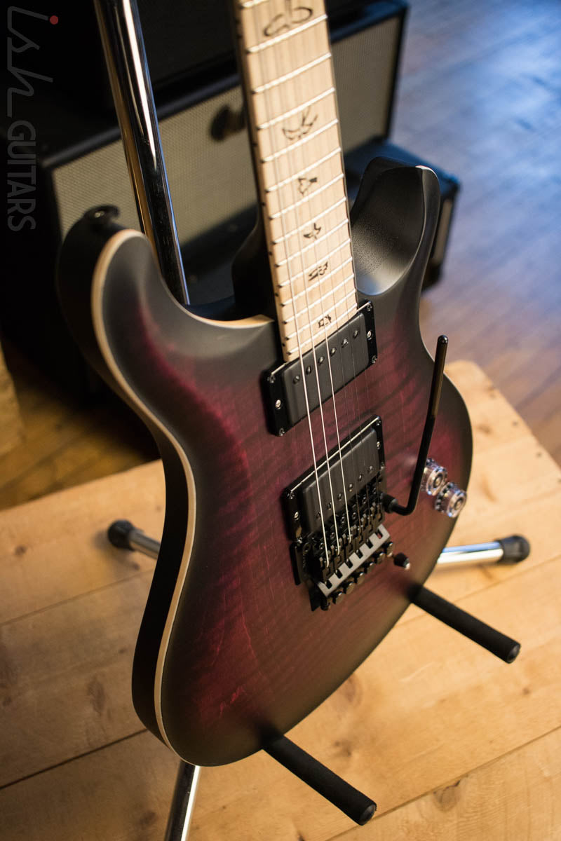 Paul Reed Smith Dustie Waring CE24 Floyd Limited Waring Burst