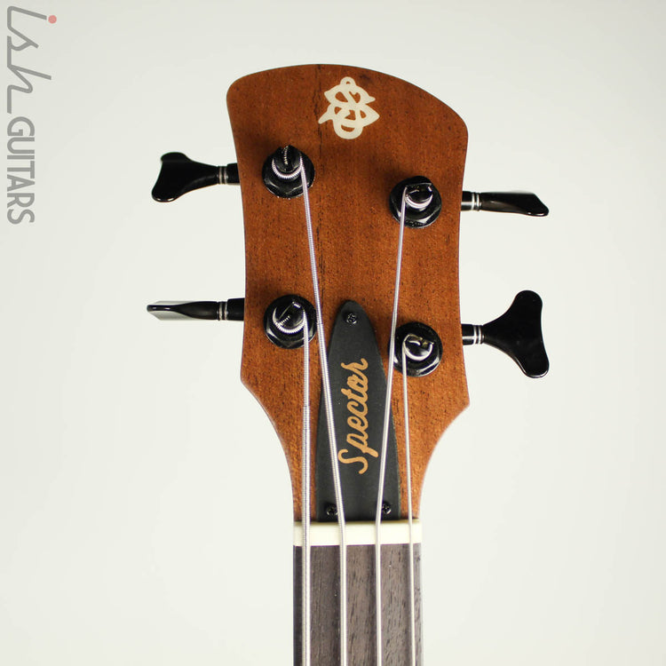 Spector Timbre 4 String Acoustic Bass – Ish Guitars