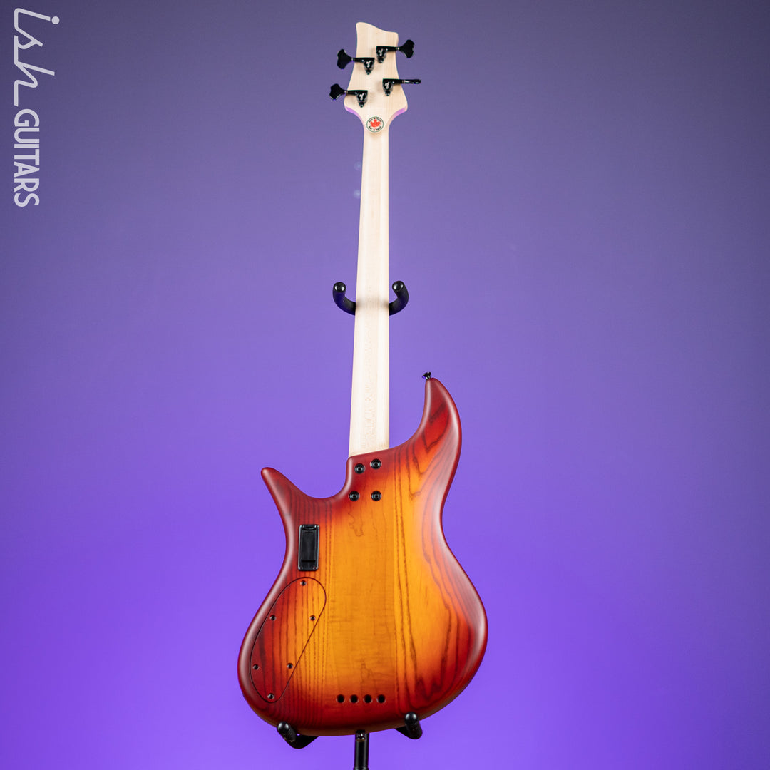 F Bass VF4-J 4-String Bass Autumn Sunburst