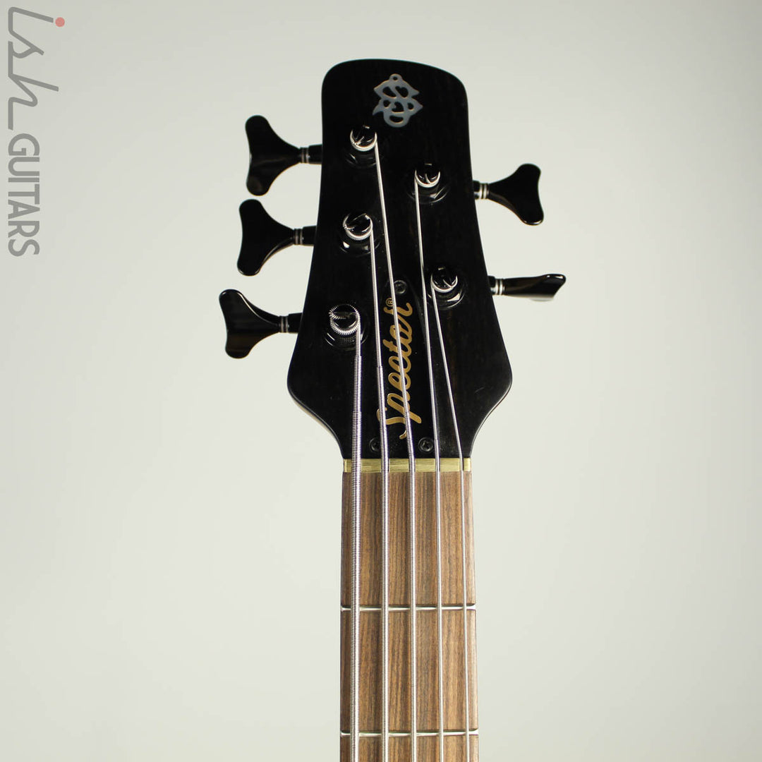 Spector Forte 5 Natural