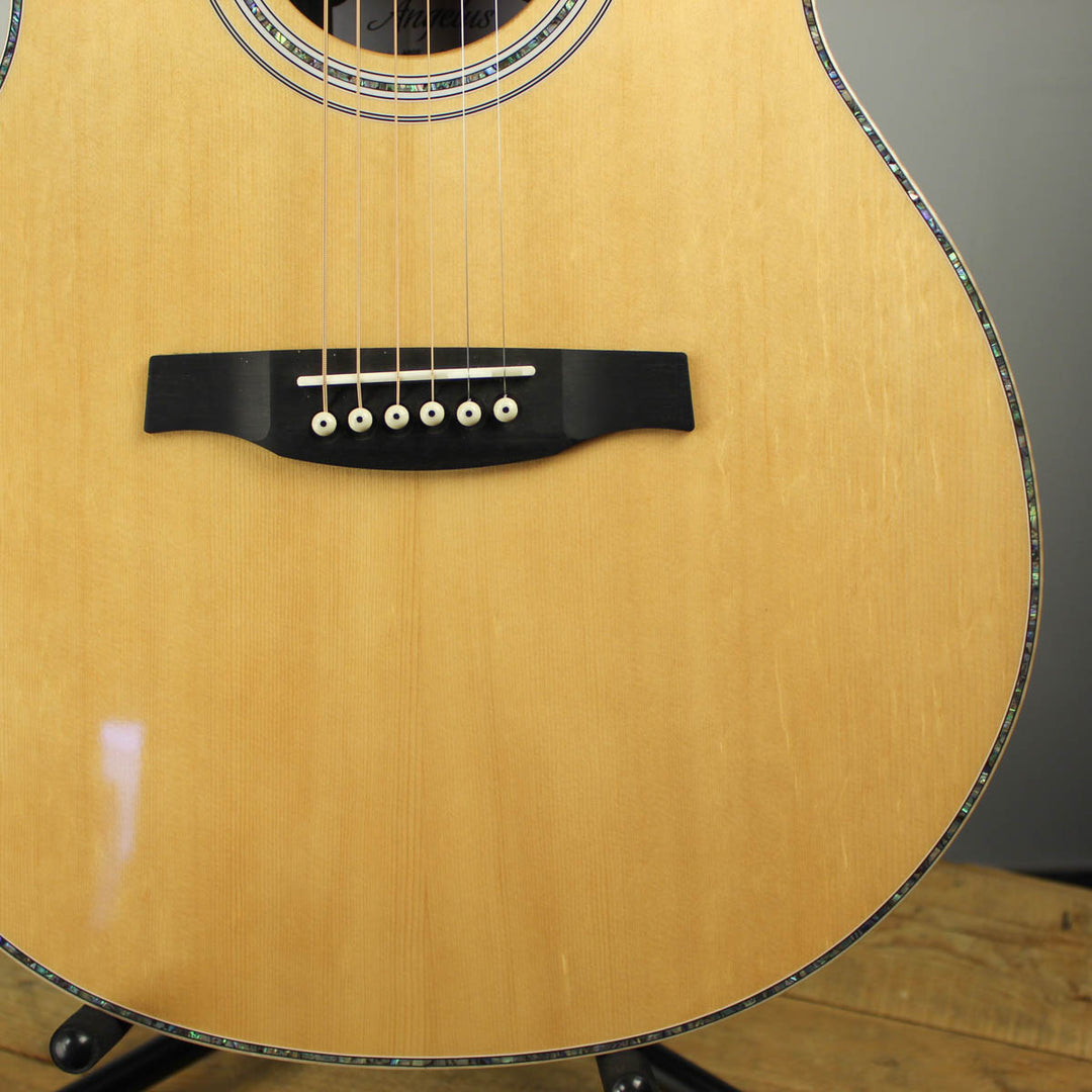 PRS SE Angelus A60E B-Stock