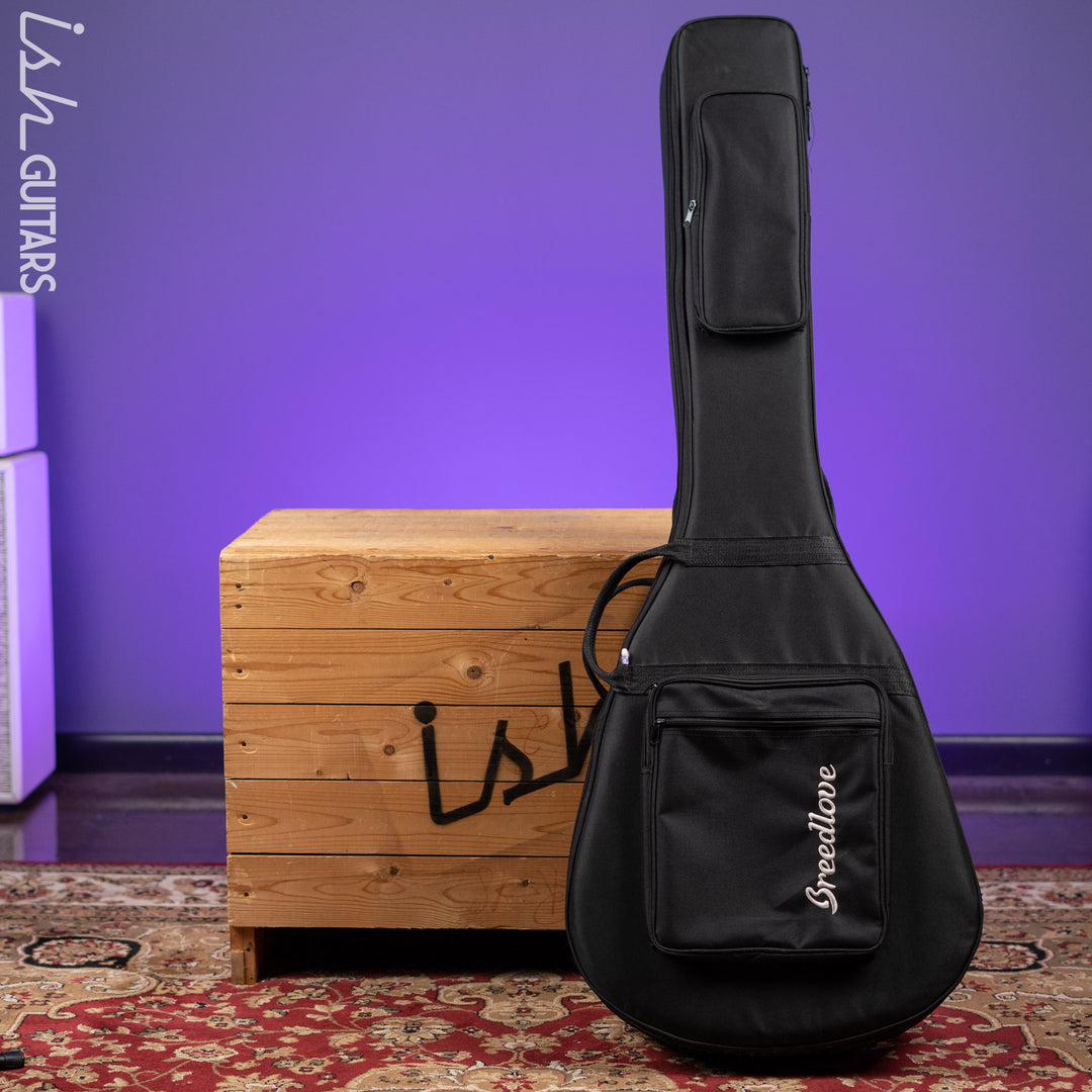D’Angelico Premier DAPB700 Acoustic-Electric Bass Guitar Natural