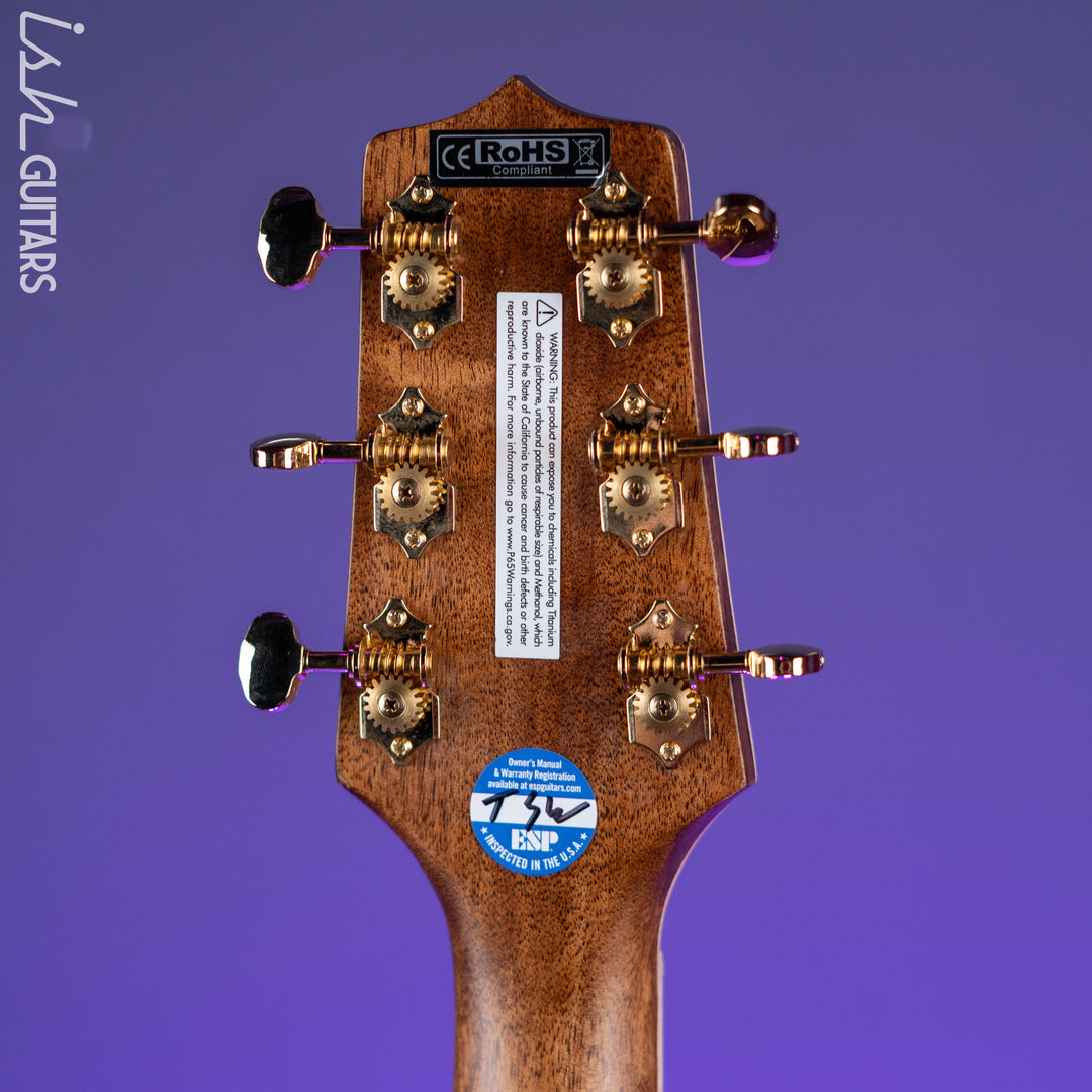 Takamine GD90CE-ZC Dreadnought Acoustic-Electric Guitar Ziricote Natural Demo