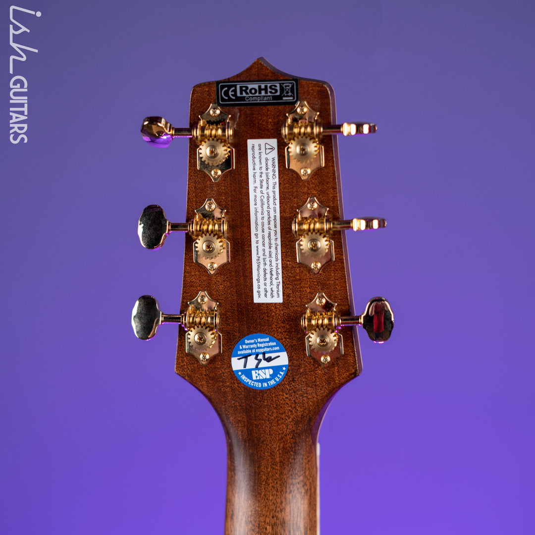 Takamine GD90CE-ZC Dreadnought Acoustic-Electric Guitar Ziricote Natural Demo