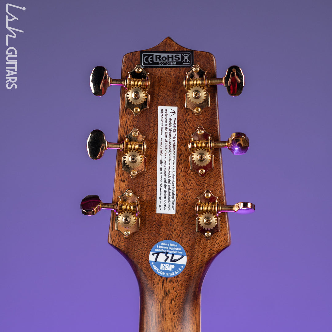 Takamine GD90CE-ZC Dreadnought Acoustic-Electric Guitar Ziricote Natural Demo