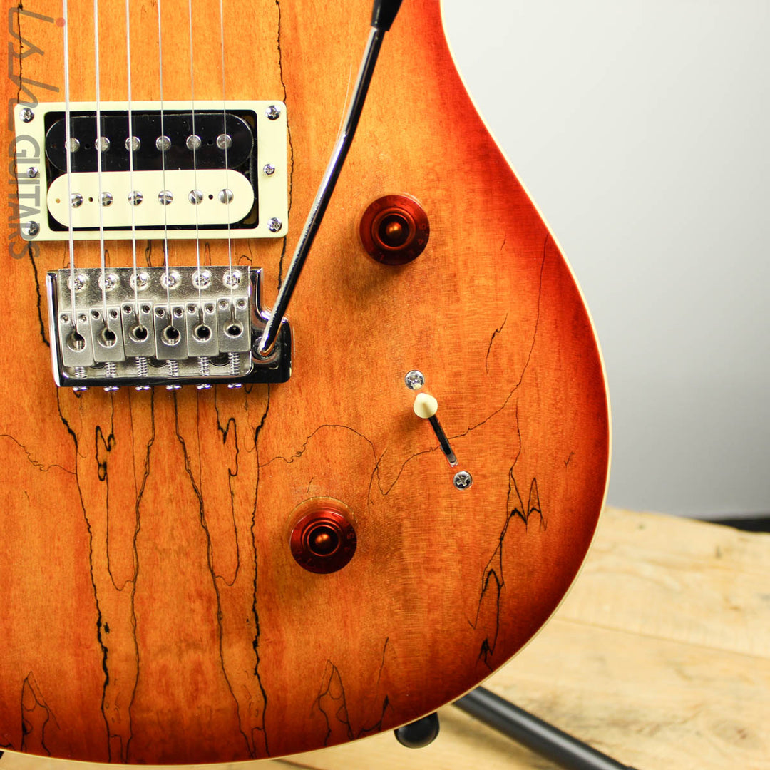 Paul Reed Smith PRS SE Spalted Maple Custom 24