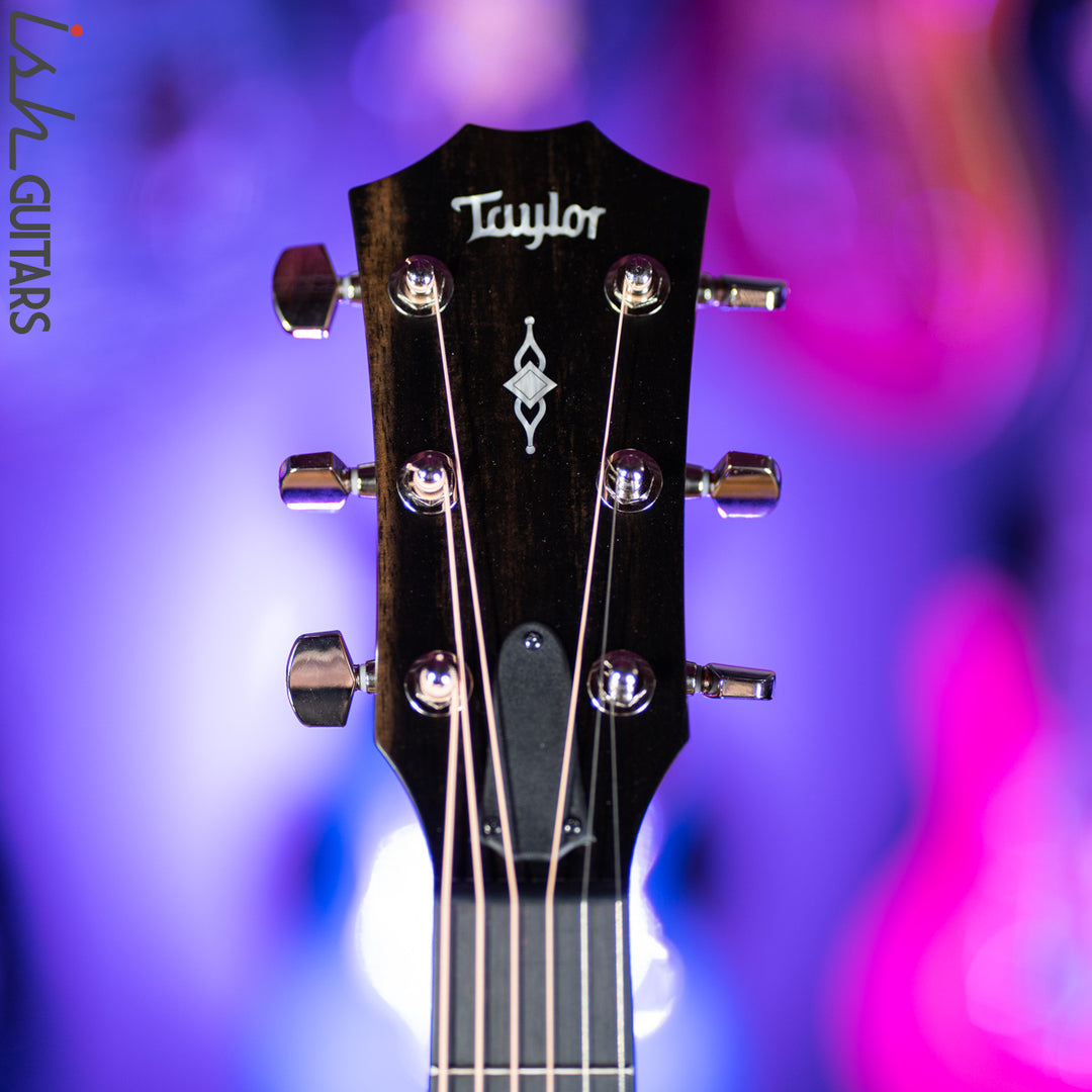 Taylor 317e Grand Pacific V-Class Natural