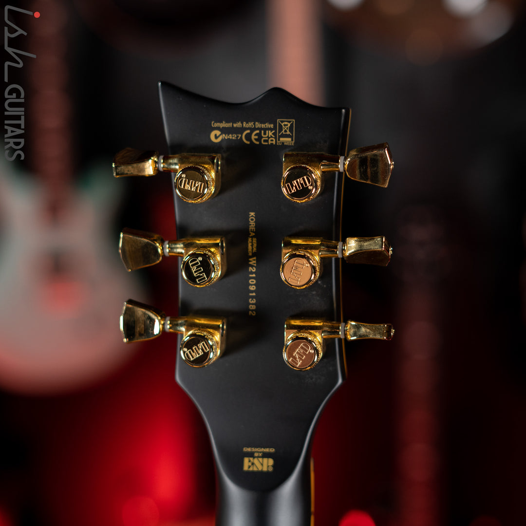 ESP LTD EC-1000 Electric Guitar Vintage Black Demo