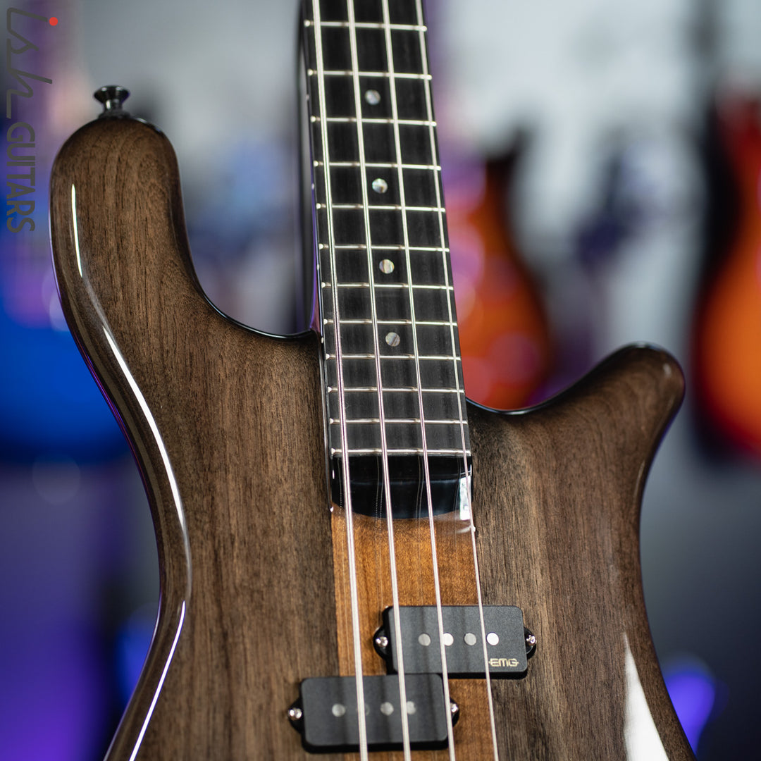 Spector NS-2 4-String Bass USA Passive Walnut Black Stain