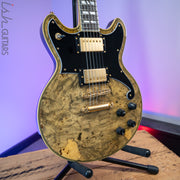 D'Angelico Brighton USA Custom Shop Gold Burl