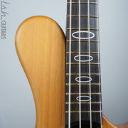 Ritter R8 Singlecut Acoustic Hollowbody Bass Piezo - First Ever! Redwood Body