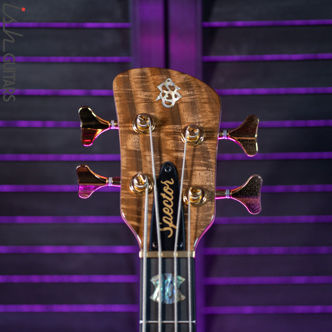 Spector USA NS-2 Bass Bastogne Walnut Natural