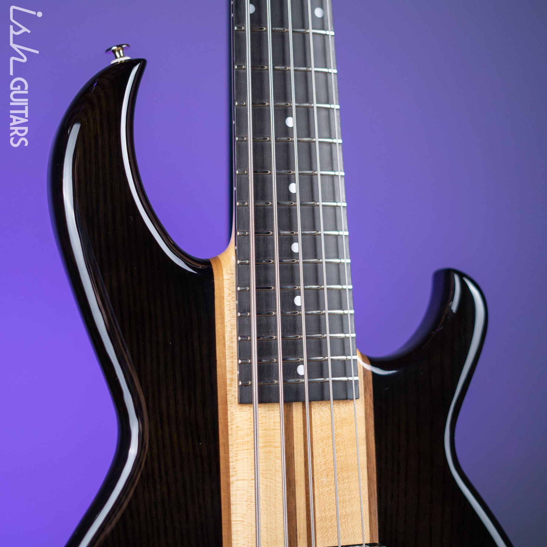 Aria Pro II SB-1000 5-String See Through Bass Black Demo – Ish Guitars