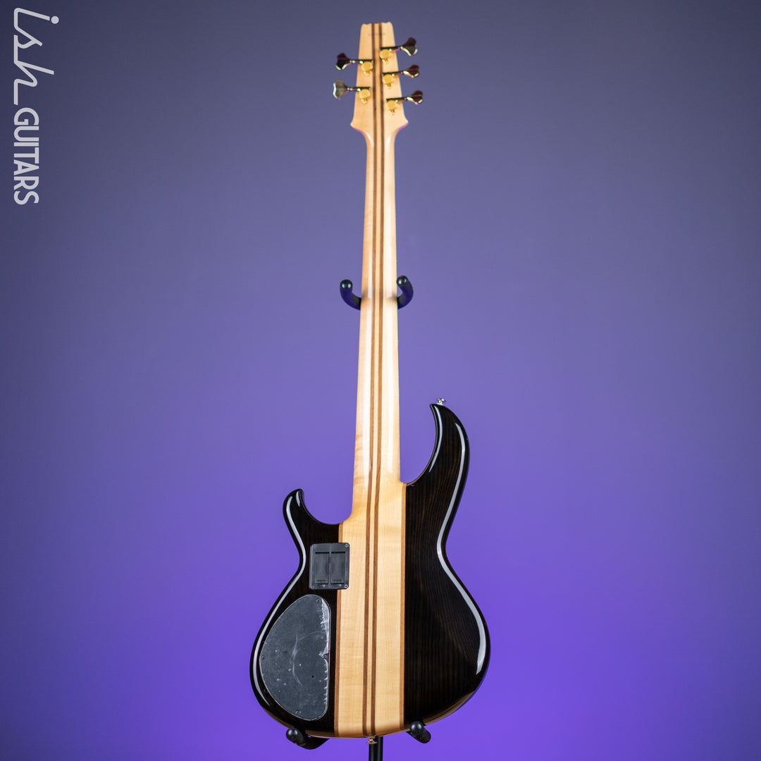 Aria Pro II SB-1000 5-String See Through Bass Black Demo – Ish Guitars