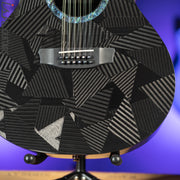 RainSong BI-W3000 12-String Acoustic Carbon Fiber Guitar
