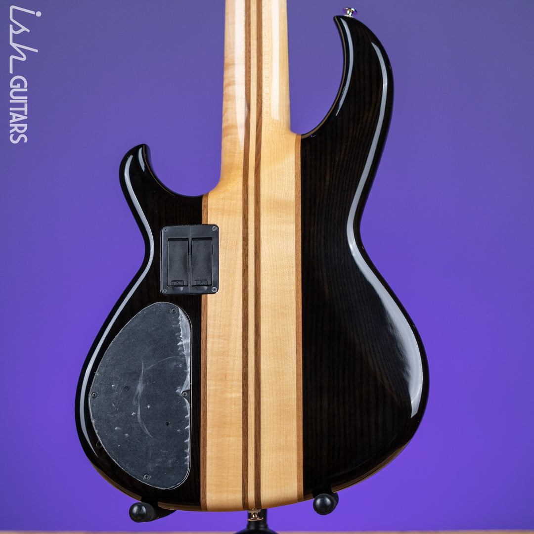 Aria Pro II SB-1000 5-String See Through Bass Black Demo – Ish Guitars