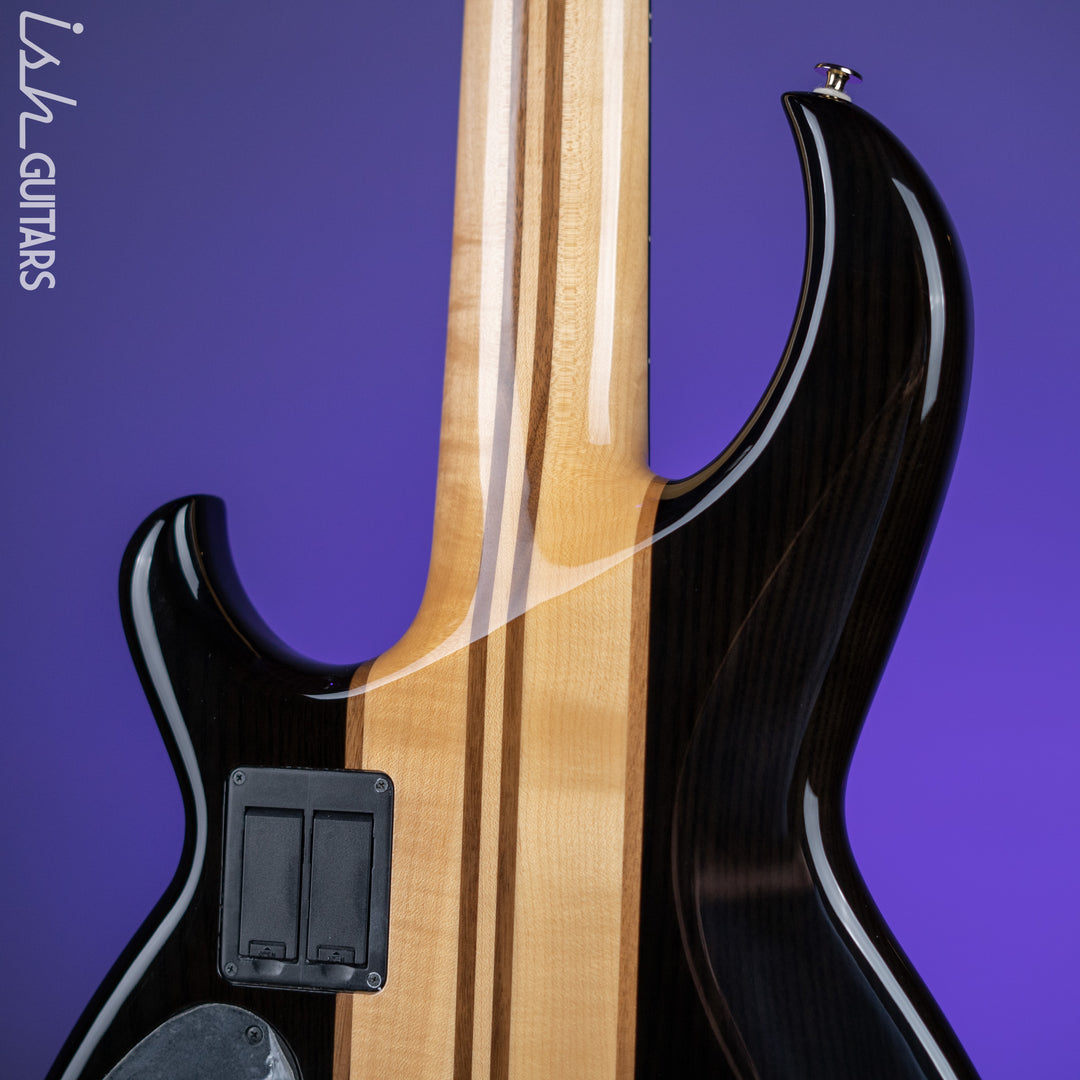 Aria Pro II SB-1000 5-String See Through Bass Black Demo