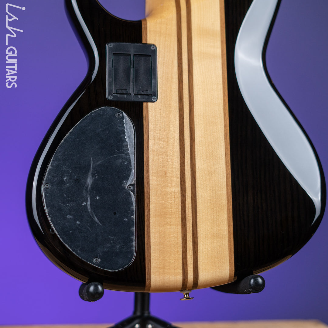 Aria Pro II SB-1000 5-String See Through Bass Black Demo