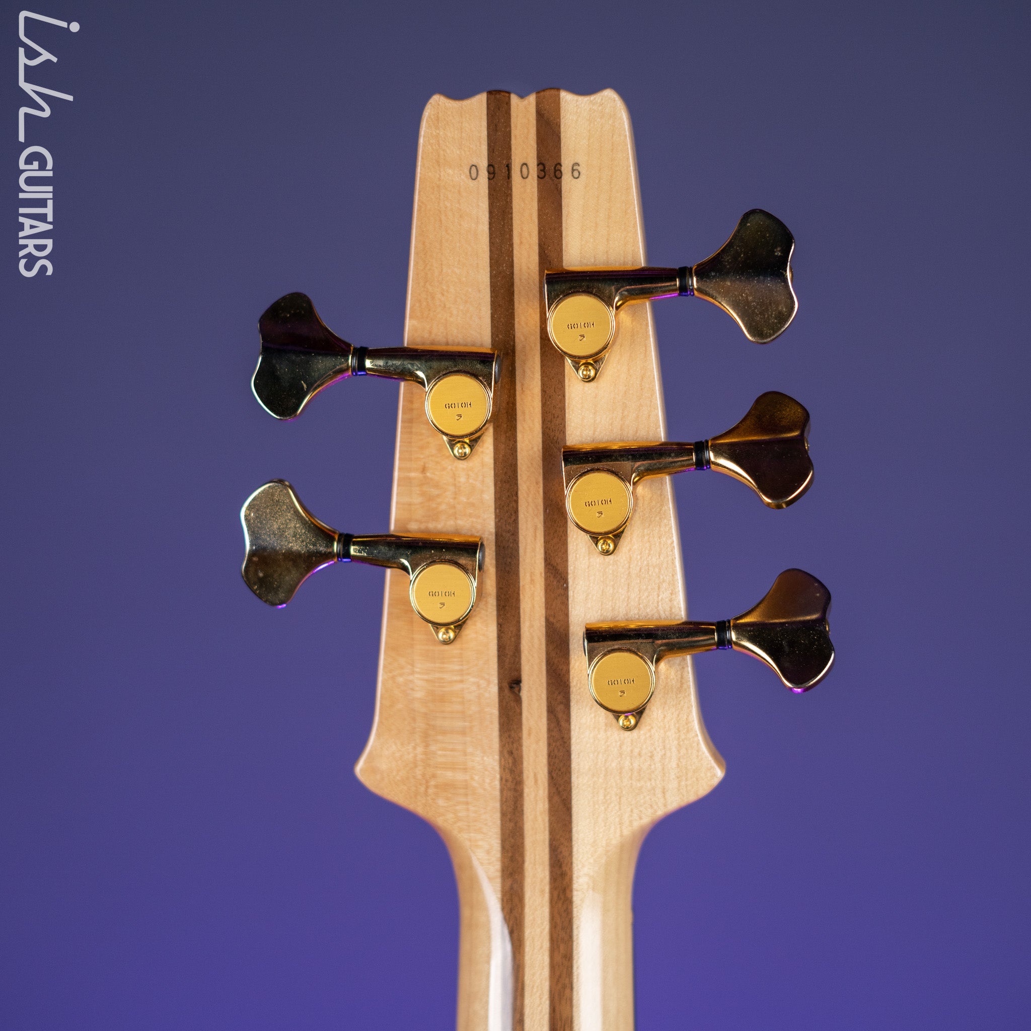 Aria Pro II SB-1000 5-String See Through Bass Black Demo – Ish Guitars