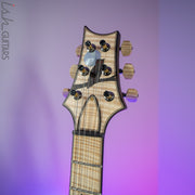 2020 PRS Private Stock DGT Sweetwater Exclusive Owls